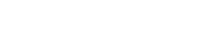 BAU International University Logo